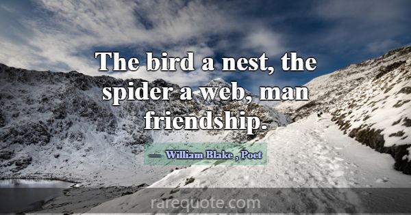 The bird a nest, the spider a web, man friendship.... -William Blake