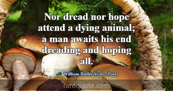 Nor dread nor hope attend a dying animal; a man aw... -William Butler Yeats