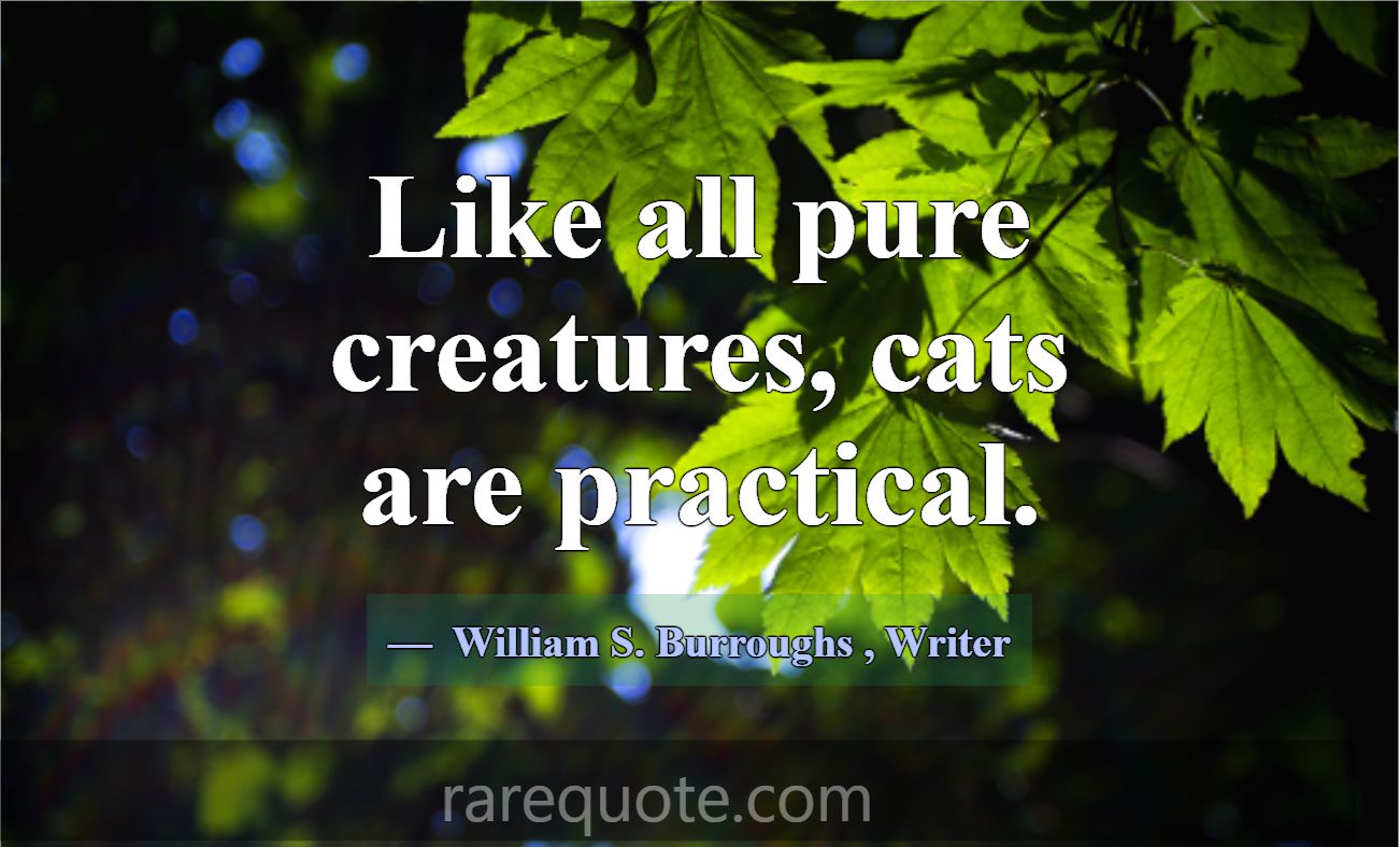 Like all pure creatures, cats are practical.... -William S. Burroughs