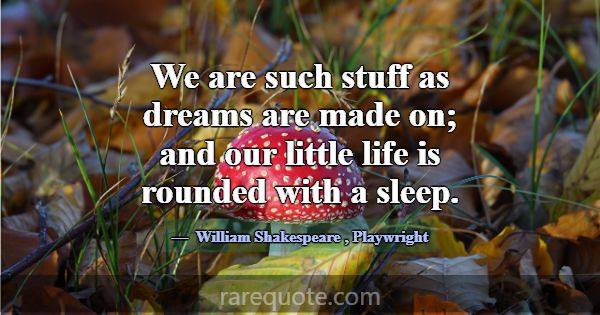 We are such stuff as dreams are made on; and our l... -William Shakespeare