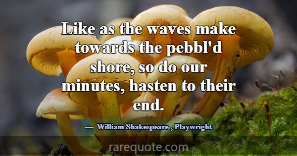 Like as the waves make towards the pebbl'd shore, ... -William Shakespeare