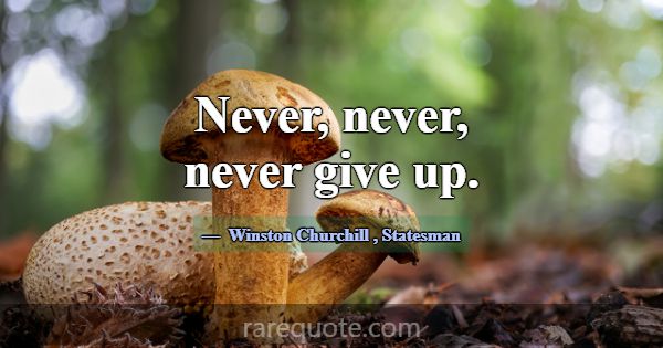 Never, never, never give up.... -Winston Churchill