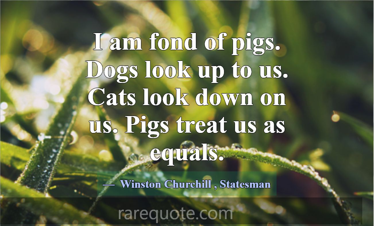 I am fond of pigs. Dogs look up to us. Cats look d... -Winston Churchill