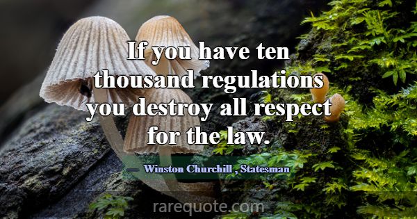 If you have ten thousand regulations you destroy a... -Winston Churchill