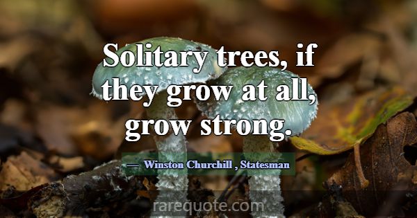 Solitary trees, if they grow at all, grow strong.... -Winston Churchill