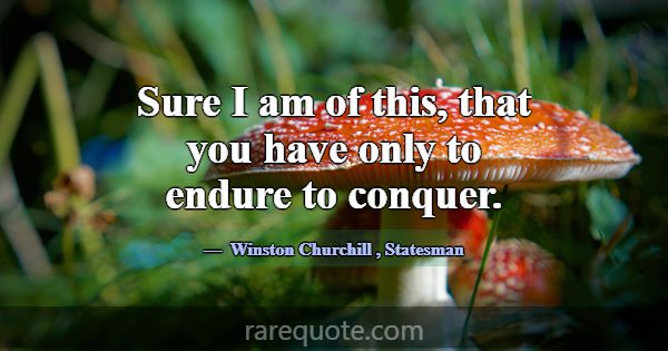 Sure I am of this, that you have only to endure to... -Winston Churchill
