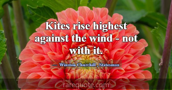 Kites rise highest against the wind - not with it.... -Winston Churchill