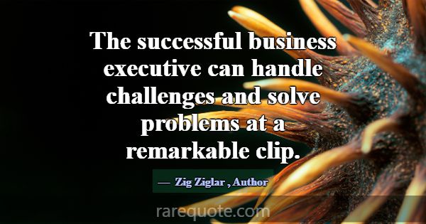 The successful business executive can handle chall... -Zig Ziglar