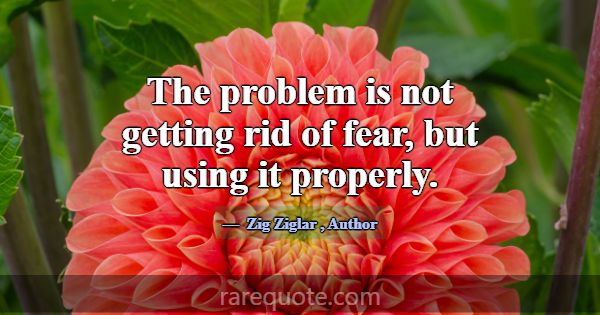 The problem is not getting rid of fear, but using ... -Zig Ziglar