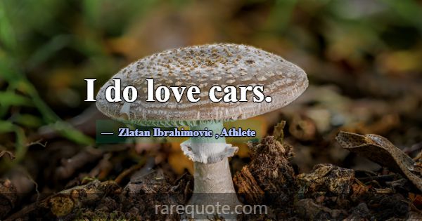 I do love cars.... -Zlatan Ibrahimovic