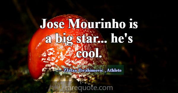 Jose Mourinho is a big star... he's cool.... -Zlatan Ibrahimovic