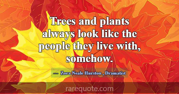 Trees and plants always look like the people they ... -Zora Neale Hurston